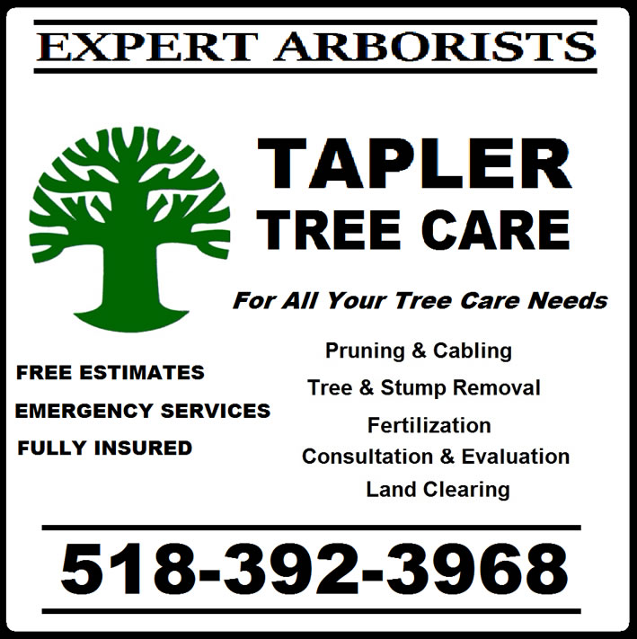 flyer with description of services