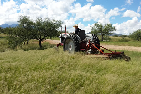 a tractor brush hogging field