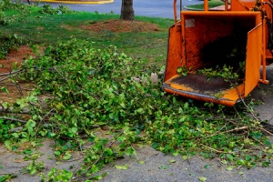 clearing debris